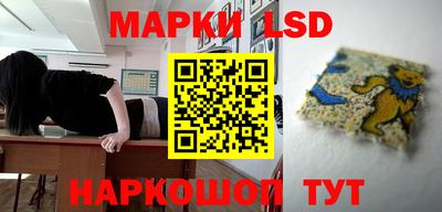 мдпв Нальчик