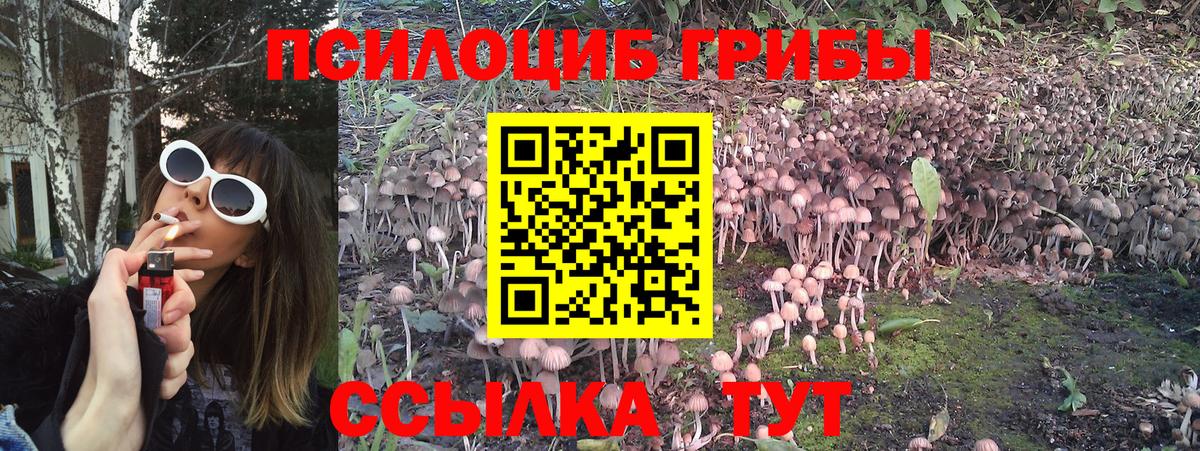 Галлюциногенные грибы ЛСД Славгород