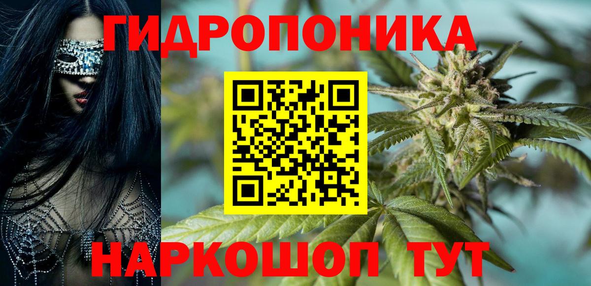 Каннабис SATIVA & INDICA Славгород
